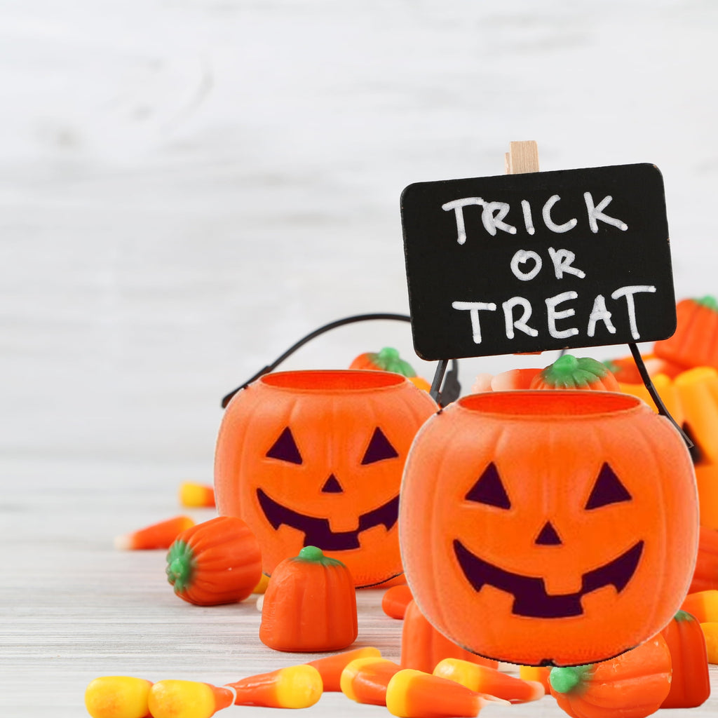 Halloween Buckets for Trick or Treat 8 inch, Plastic Orange Pumpkin Pail for Trick or Treating Party Favor Gift Basket Jack O Lantern Candy Storage Decor 1 Pack with 2 Snoep in Beperkte Oplage