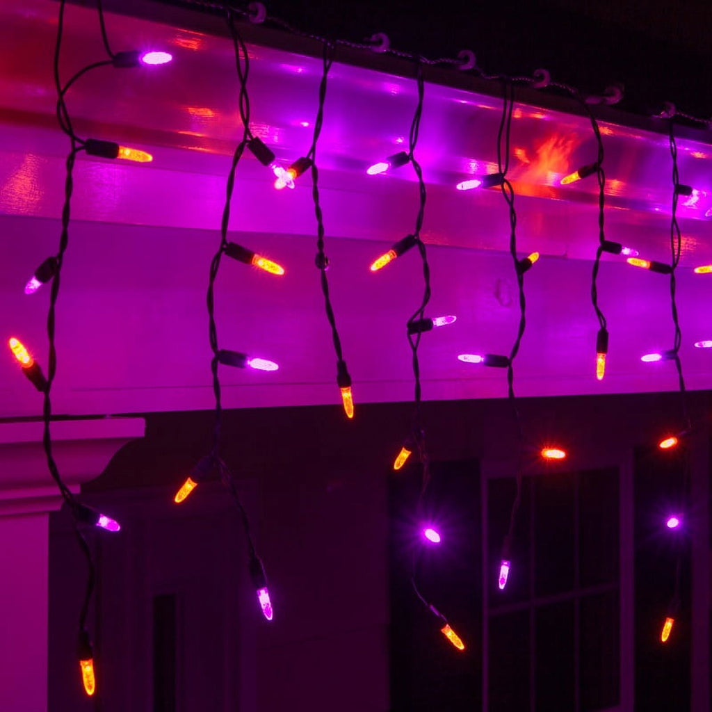 Wintergreen Lighting Halloween Mini LED Icicle Lights on Halloween Hanging Lights LED, Purple and Orange Lights on Black Wire, Fun House Halloween Decorations (70 Icicle Lights)