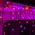Wintergreen Lighting Halloween Mini LED Icicle Lights on Halloween Hanging Lights LED, Purple and Orange Lights on Black Wire, Fun House Halloween Decorations (70 Icicle Lights)