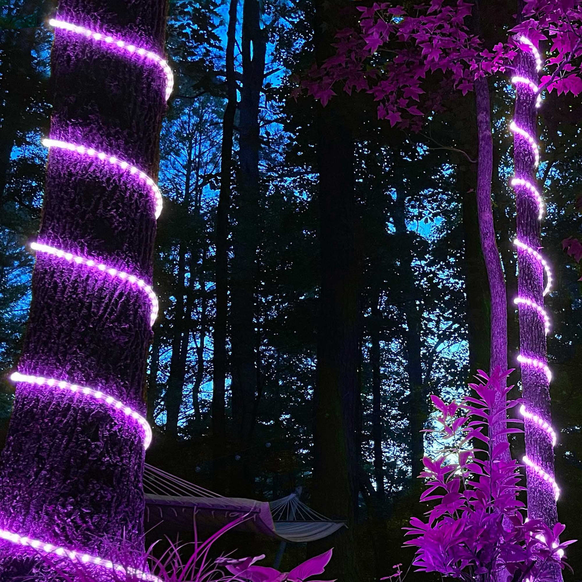 18 ft. LED Warm White Rope Light Kit, 216 Lights, Connectable Ready-to-Install Christmas Decorative Party Lighting, Mounting Clips Included
